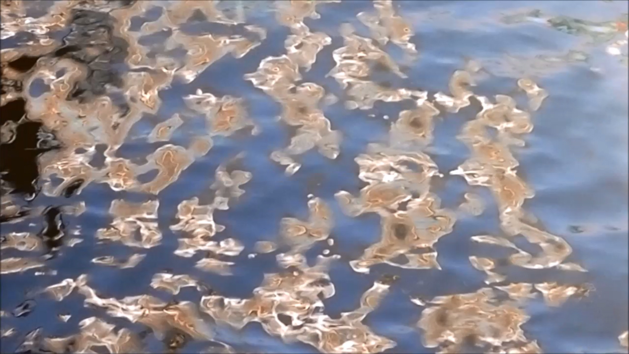 2020-01-03 - 06 Bangkok (Video)